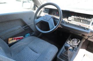 Renault R21